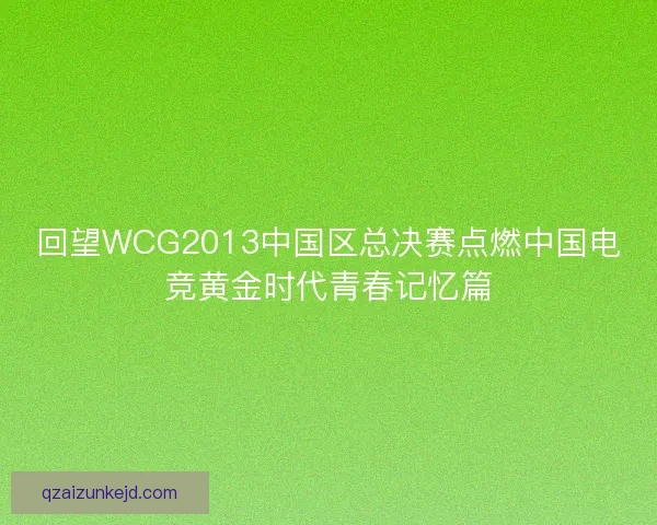 回望WCG2013中国区总决赛点燃中国电竞黄金时代青春记忆篇